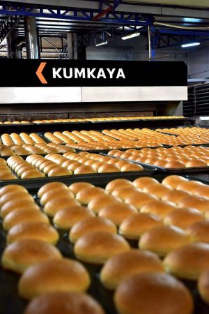 bakery-equipment-tunnel-ovens